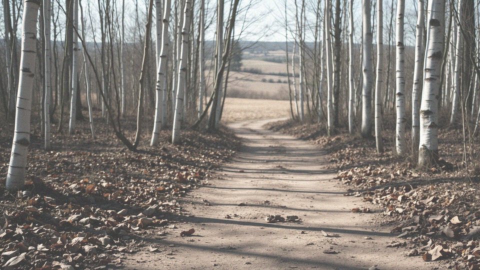 Jak długość kroku wpływa na przeliczenie km na kroki?