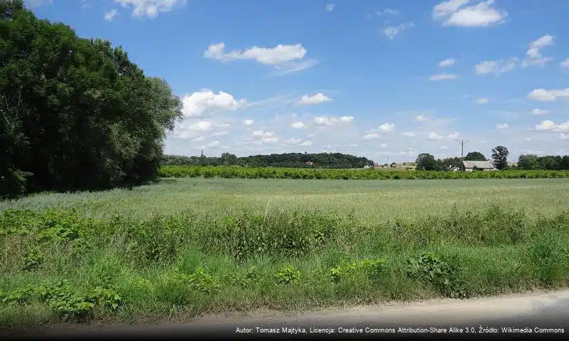 Parkowa (Wzgórza Niemczańsko-Strzelińskie)
