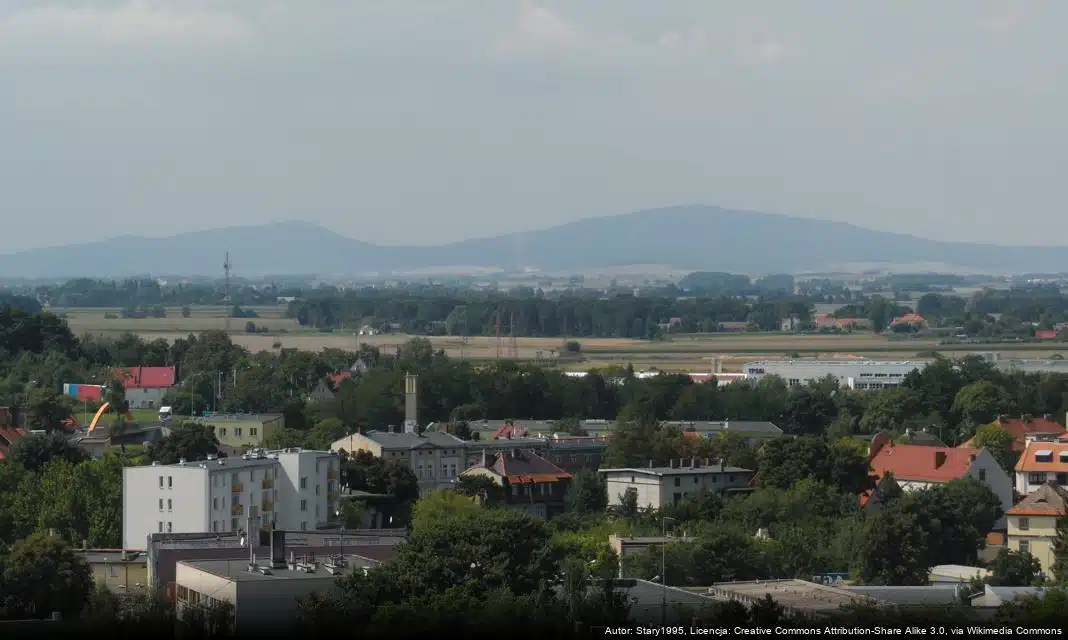 Uważaj na oszustwa inwestycyjne – jak się przed nimi chronić