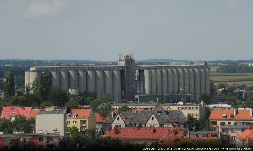 Uwaga na upały – poradnik na nadchodzące upalne dni w Strzelinie