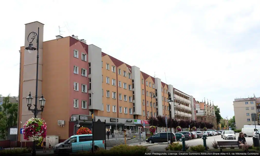 Pszczoły lecą na wieżę – Strzelińskie Święto Pszczoły z nową atrakcją