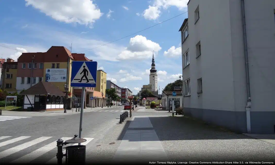 Spotkanie informacyjne online o projekcie Instytut Dostępności dla przedsiębiorców